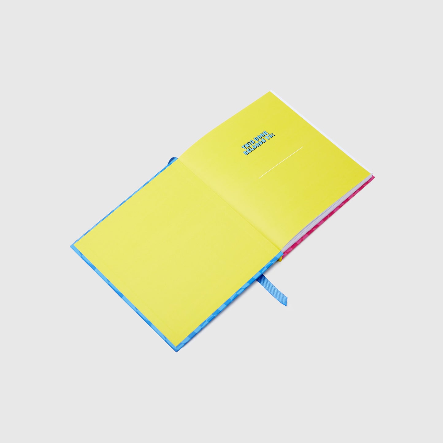 WE ARE SURROUNDED BY AN ABUNDANCE OF LOVE Notebook